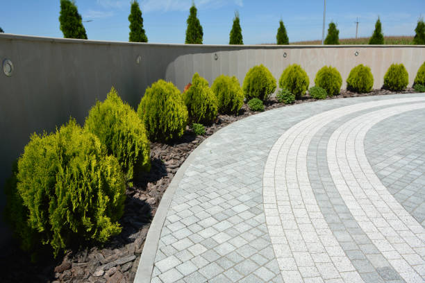 Best Driveway Repair Near Me  in San Gabriel, CA